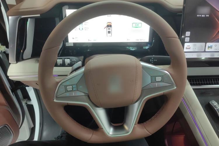 Used BYD Xia 2025 DM-i 1.5T 180km Excellence Model
