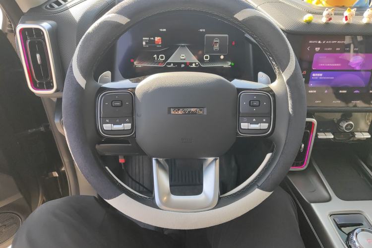 Used Haval DARGO 2024 2.0T DCT Chinese Rural Dog Edition