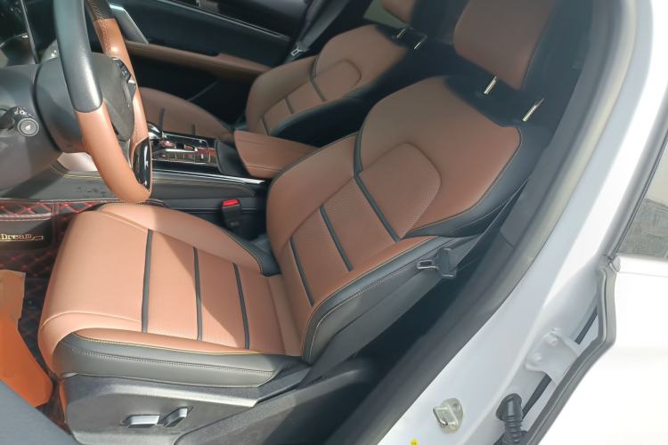 Used BYD Tang New Energy 2021 DM 2.0T Four-Wheel Drive Performance Edition Prestige Model
