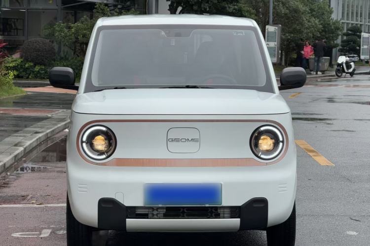 Used  Panda 2024 Panda Mini 200km Endurance Bear