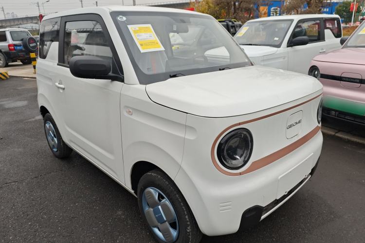 Used  Panda 2024 Panda Mini 200km Endurance Bear
