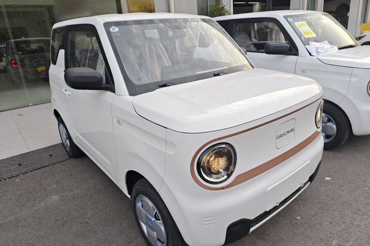 Used  Panda 2024 Panda Mini 200km Endurance Bear
