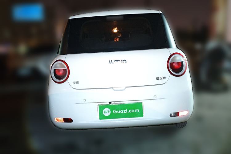 Used Qiyuan Lumin 2022 301km Honey-Sweet Version