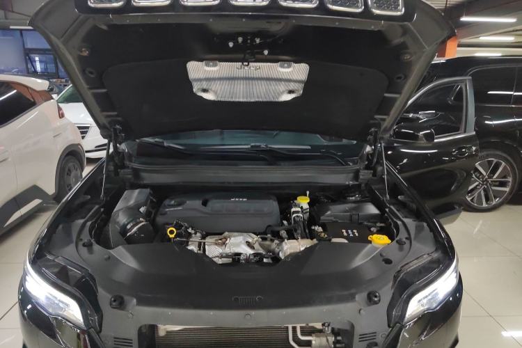 Used  Cherokee 2020 2.0T Two-Wheel Drive Leading Edition
