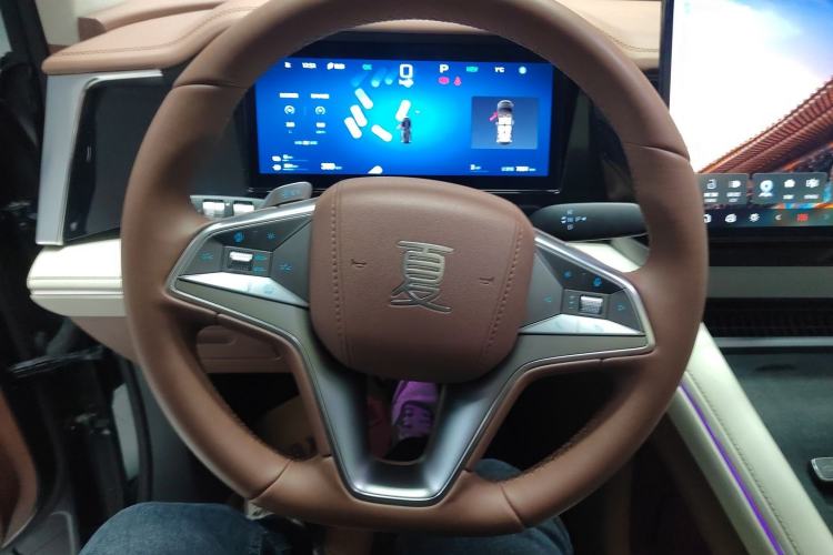 Used BYD Xia 2025 DM-i 1.5T 180km Excellence Model
