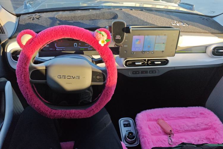 Used  Panda 2025 210km Panda Kart
