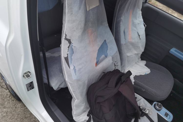 Used  Panda 2024 Panda Mini 200km Endurance Bear
