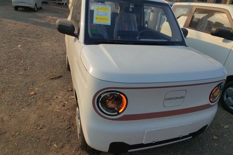Used  Panda 2024 Panda Mini 200km Endurance Bear
