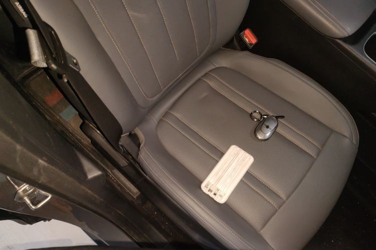 Used  Geome 2025 310km Youth Edition