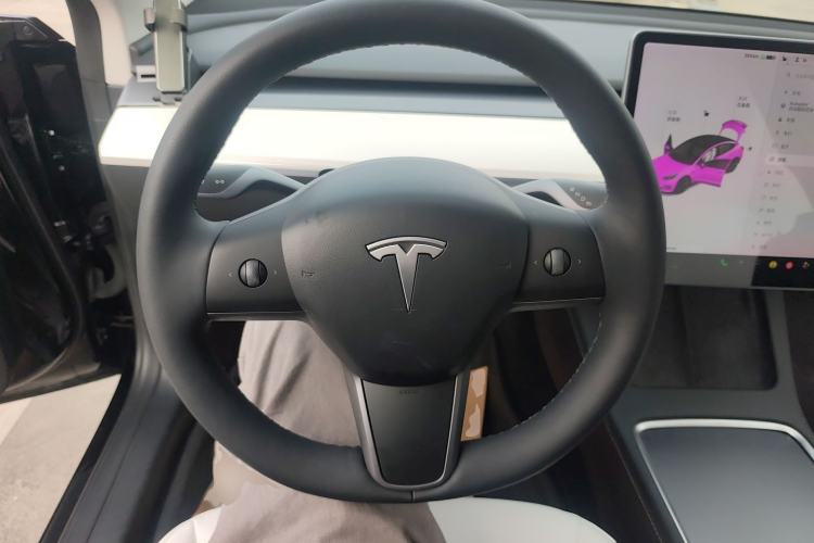 Used Tesla Model 3 2021 Standard Range Rear-Wheel Drive Upgraded Version 3D6
