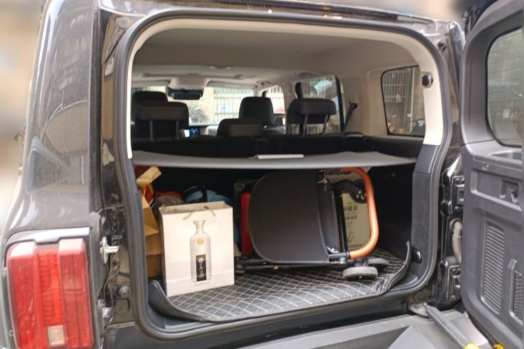 Used Tank 300 2021 City Edition 2.0T—Truly Stylish