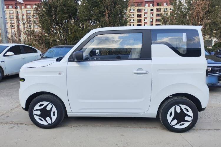 Used  Panda 2025 210 km – Yuanqi Bear

