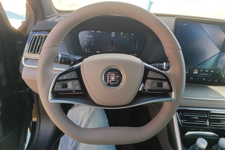 Used BYD Tang New Energy 2025 DM-i 115KM Flagship Model
