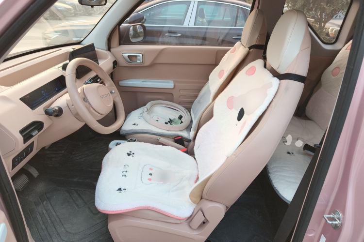 Used  Panda 2024 Panda Mini 200km Endurance Bear