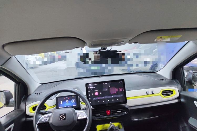 Used SOL E10X 2022 Flower Fairy Style Baby's Breath
