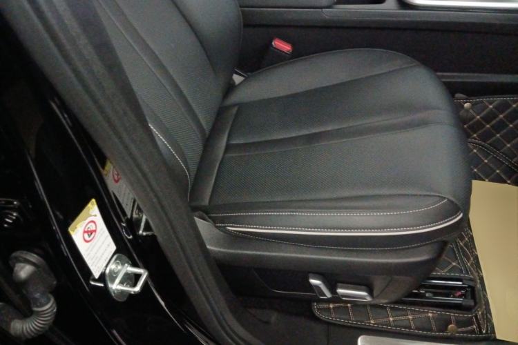 Used Tank 300 2024 2.0T Conqueror