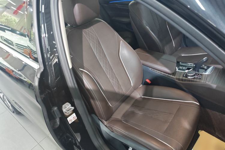 Used BMW 5 Series New Energy 2019 530Le Luxury Package