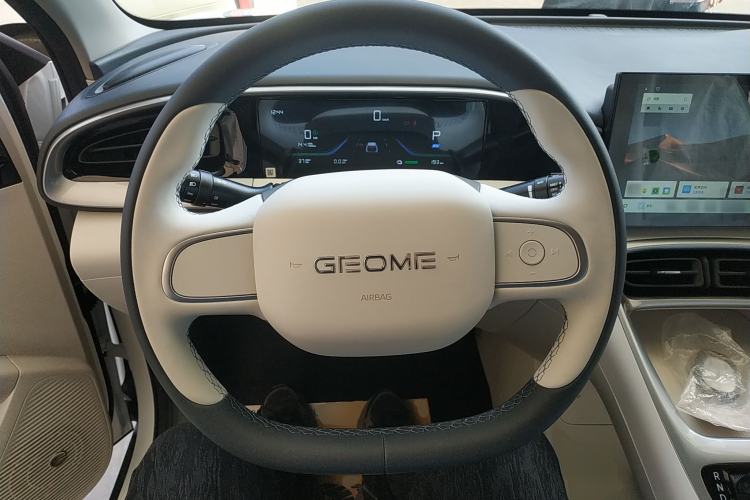 Used  Geome 2025 310km Youth Edition
