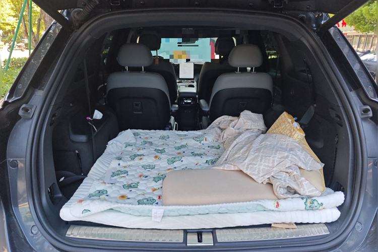 Used Nio ES8 2020 450 km Range 6-Seater Version
