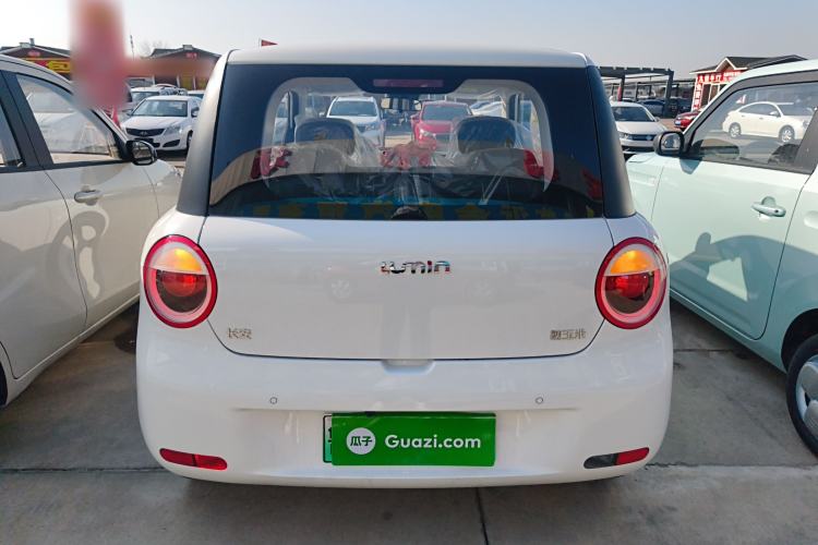 Used  Lumin 2024 130km Qingyue Version