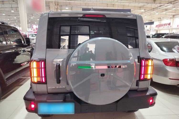 Used Tank 300 2024 2.0T Conqueror
