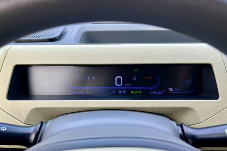 Used  Panda 2024 200km Panda Rider
