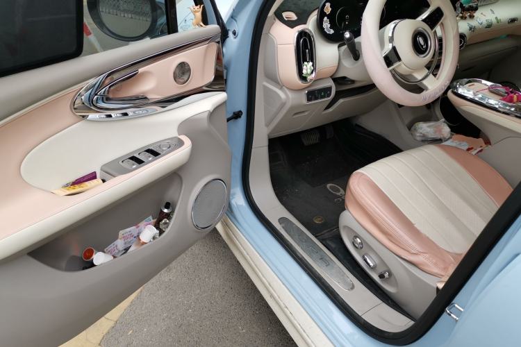 Used ORA Ballet Cat 2022 401 km Nutcracker Edition
