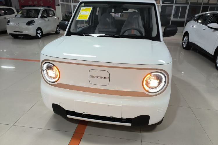 Used  Panda 2024 Panda Mini 200km Endurance Bear

