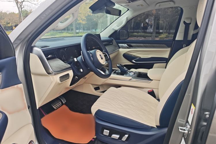 Used Tank 500 New Energy 2024 Hi4-T
