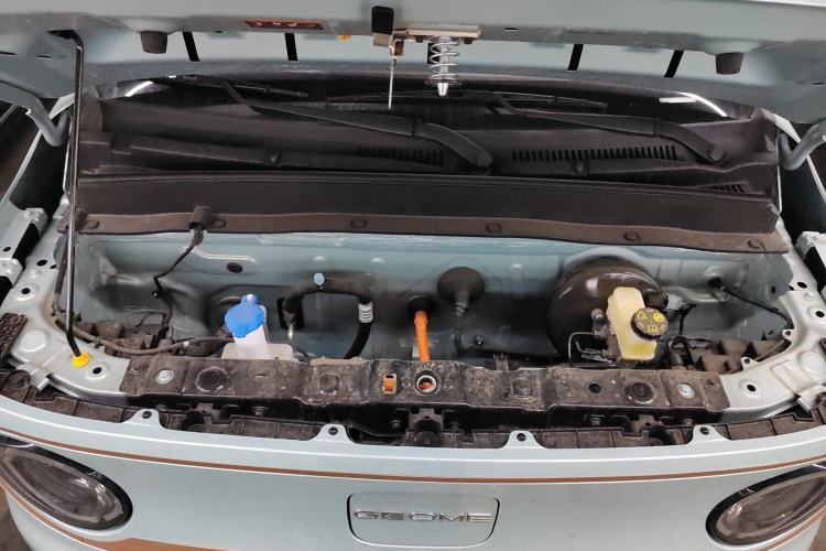 Used  Panda 2024 Panda Mini 200km Endurance Bear
