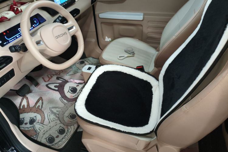 Used  Panda 2024 200km Panda Kart
