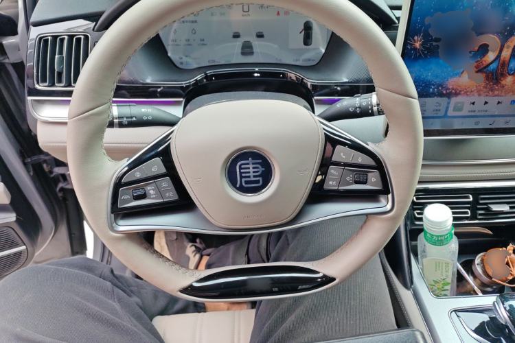 Used BYD Tang New Energy 2025 DM-i 115KM Flagship Model
