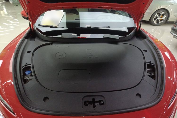 Used  06 2025 Pro Range-Extended Edition
