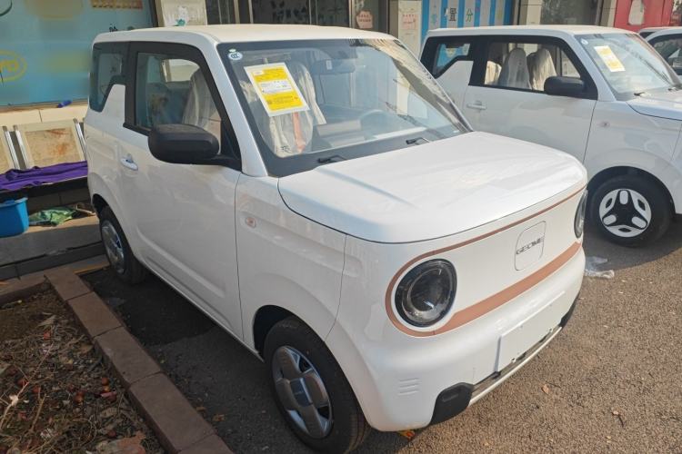 Used  Panda 2024 Panda Mini 200km Endurance Bear

