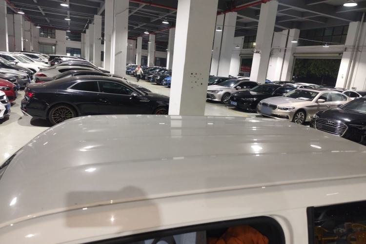 Used  Panda 2023 Panda Mini 200km Endurance Bear
