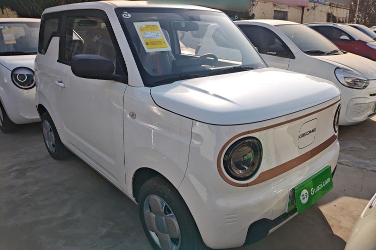 Used  Panda 2024 Panda Mini 200km Endurance Bear