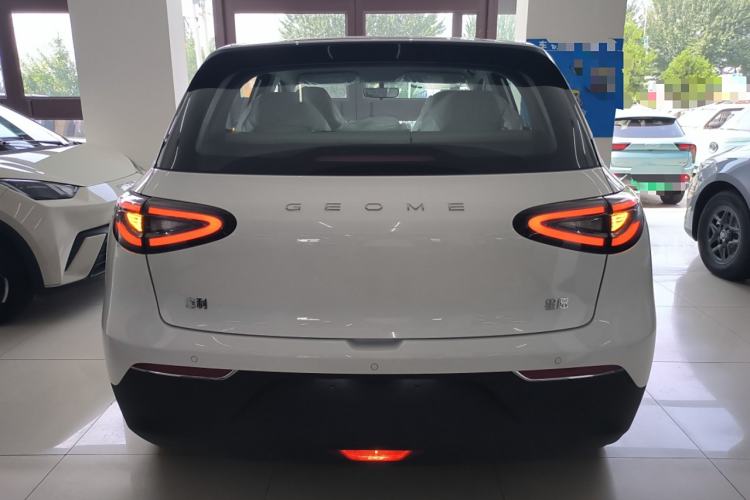 Used  Geome 2025 310km Youth Edition
