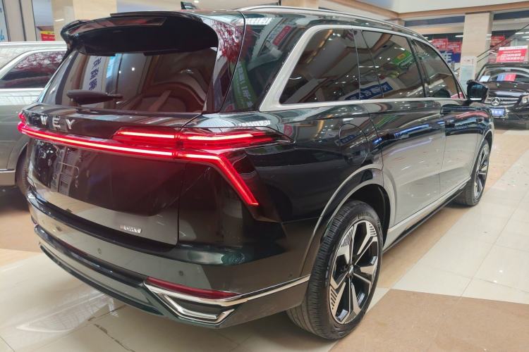 Used Wey Lanshan 2023 Four-Wheel Drive Ultra-Long Range Version