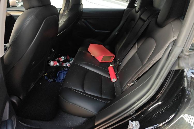 Used Tesla Model 3 2022 Rear-Wheel-Drive Version