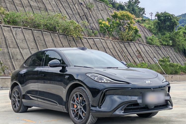 Used  LS6 2023 Max Long-Range Version
