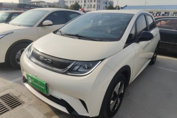 Used BYD Dolphin 2023 420 km Free Version