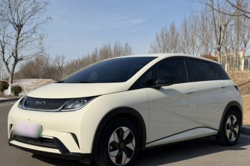 Used BYD Dolphin 2025 420km Free Edition