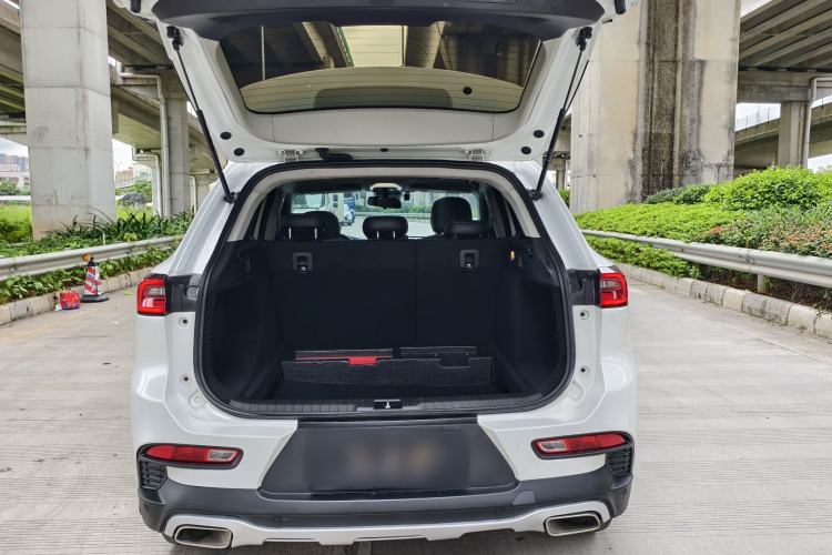 Used  TX 2019 1.6T Four-Wheel Drive Platinum Edition
