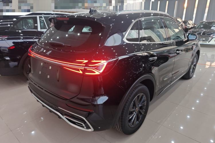 Used Hongqi HS5 2025 2.0T Two-Wheel Drive Flagship Pro Edition
