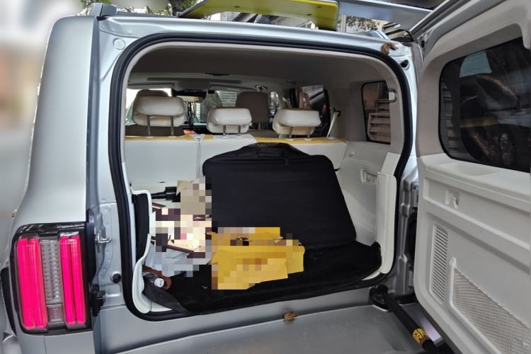 Used  Tank 300 2021 2.0T Cyber Tank
