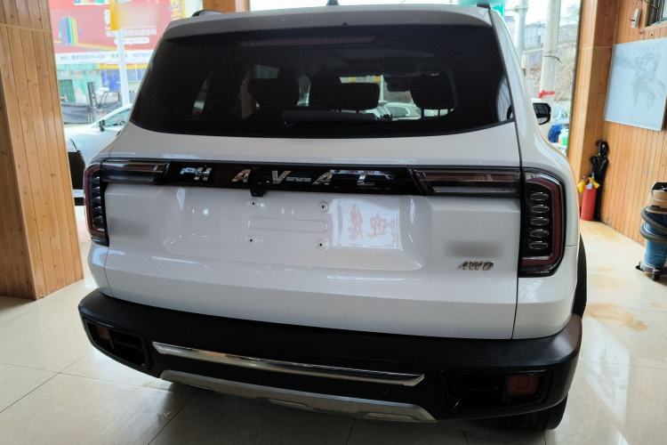 Used Haval DARGO 2021 2.0T DCT 4x4 Chinese Rural Dog Edition
