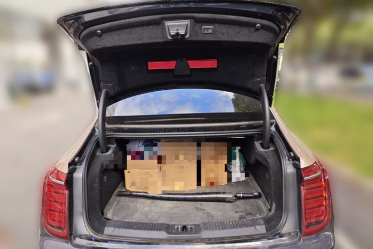 Used Hongqi H9 2020 Revised Version 2.0T Smart Connect Flagship Edition