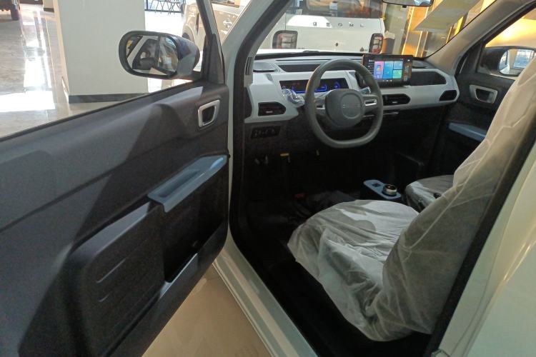 Used  Panda 2024 Panda Mini 200km Endurance Bear