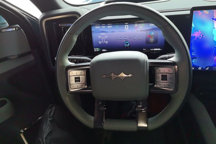 Used  Leopard 5 2023 Navigator Edition
