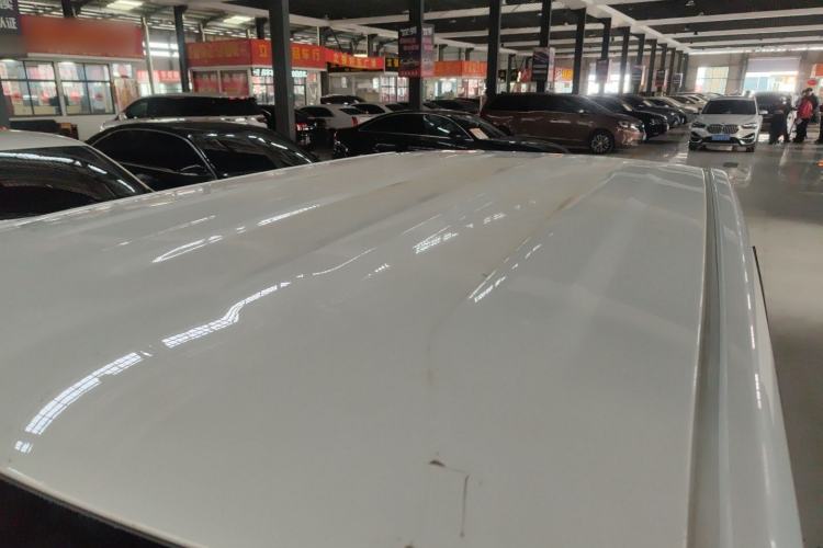 Used  Panda 2024 Panda Mini 200km Endurance Bear
